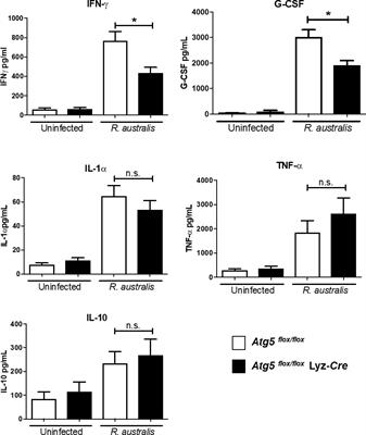 Subversion of Host Innate Immunity by Rickettsia australis via a Modified Autophagic Response in Macrophages